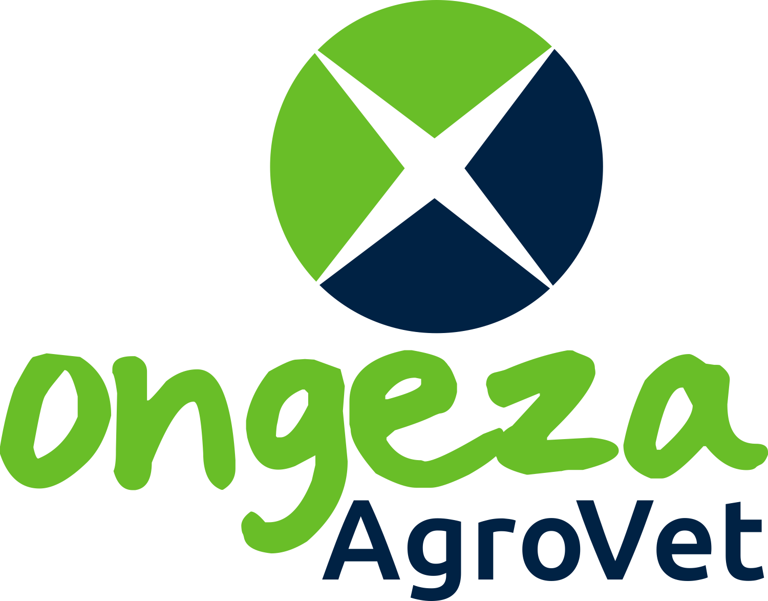 ongeza_logo